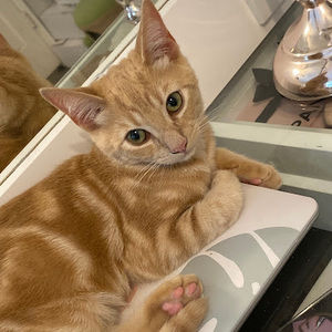 Meet your Posher, Brenda